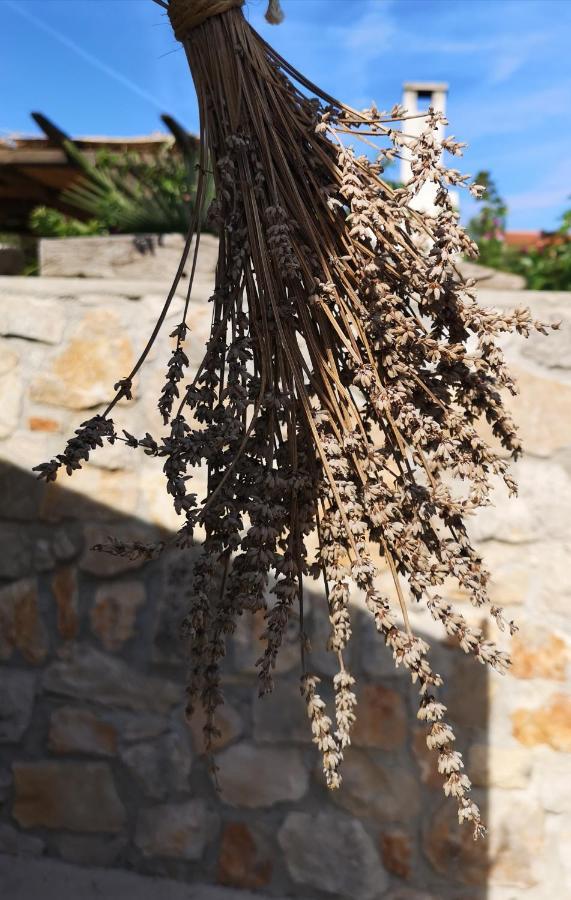 Casa Segota Otel Veli Iž Dış mekan fotoğraf