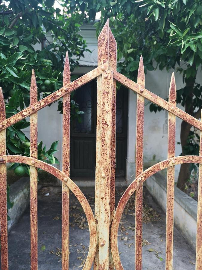 Casa Segota Otel Veli Iž Dış mekan fotoğraf